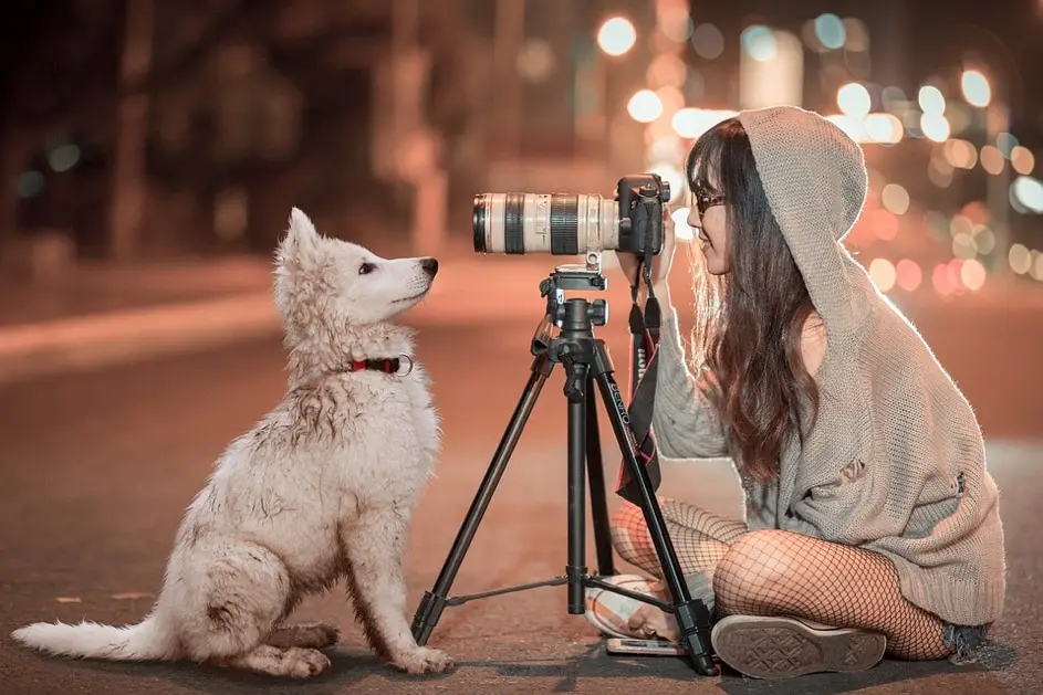 Les astuces pour photographier un chien ou un chat